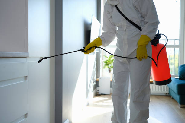 Certified Mold Removal in Old Jamestown, MO